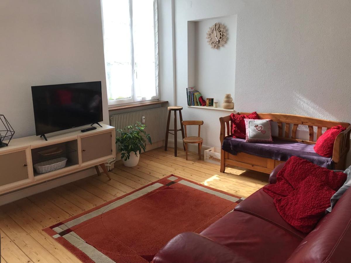 Le Clos Des Iris - Gite Rural 95 M2 Tout Confort En Alsace Bossue Domfessel Екстериор снимка